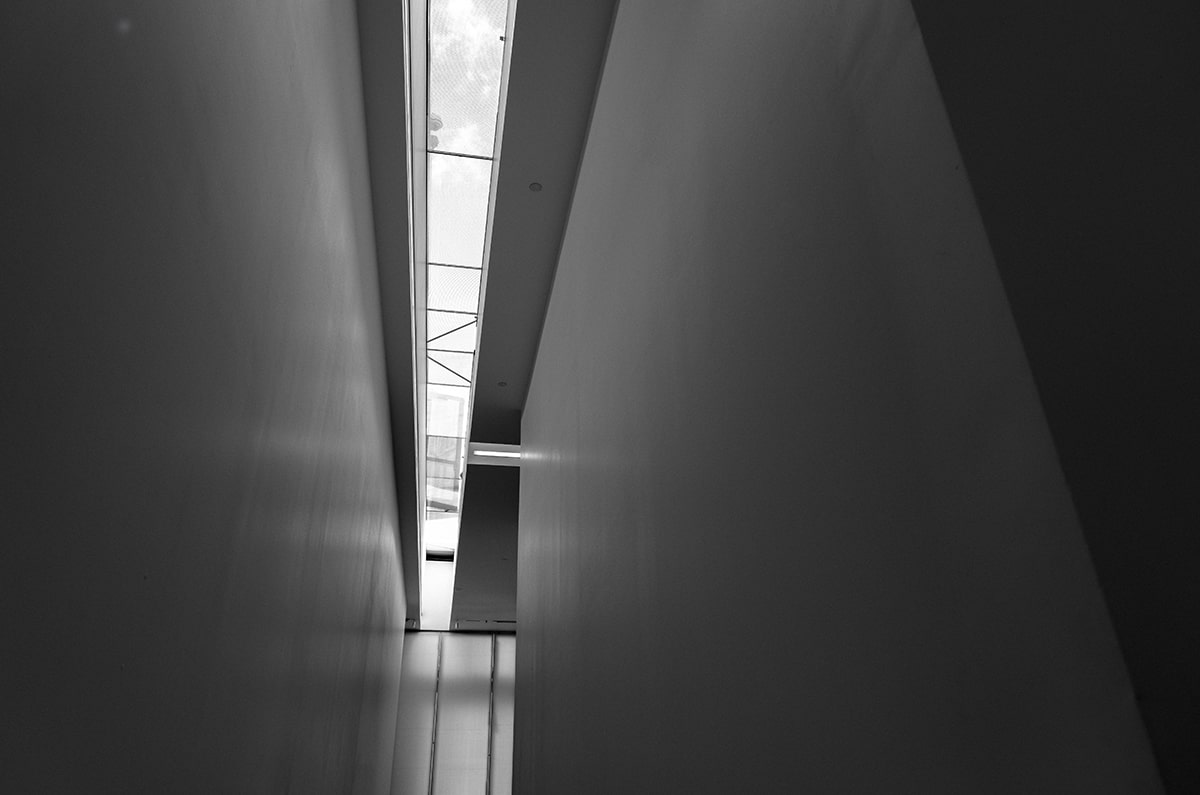 《葛森疗法》全册第2部第12章:葛森允许的食物