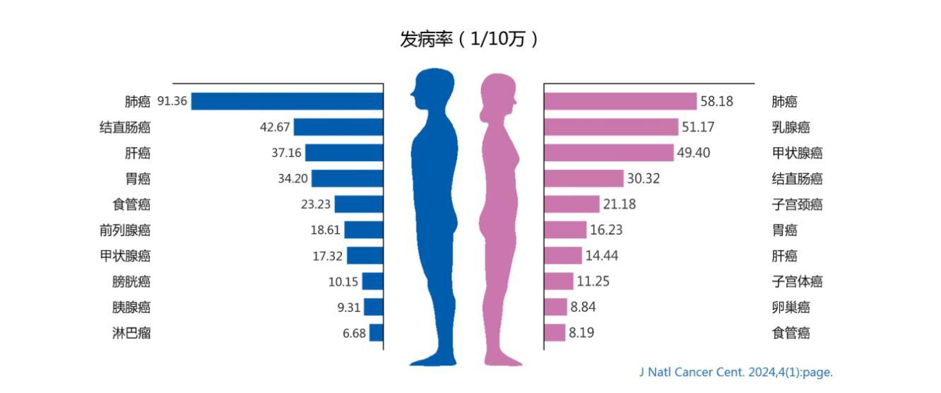 【国家癌症中心】2024年全国癌症报告 癌康动态 第5张