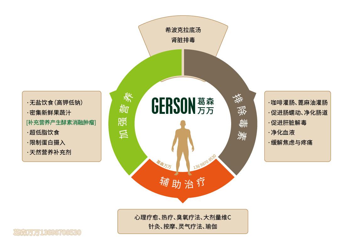 《葛森疗法白皮书》 葛森疗法 第9张